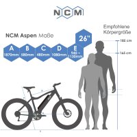 EPAC, NCM Aspen+, 48V 16Ah 768Wh, 26&quot;,  schwarz